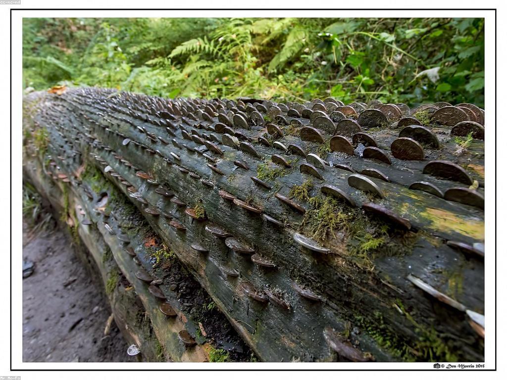 សំណាង និង រង្វាន់: ការបង្កើតសំណាងដោយប្រាក់ទឹកចិត្ត